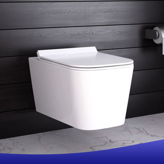 Everything You Need To Know About Rimless Toilets